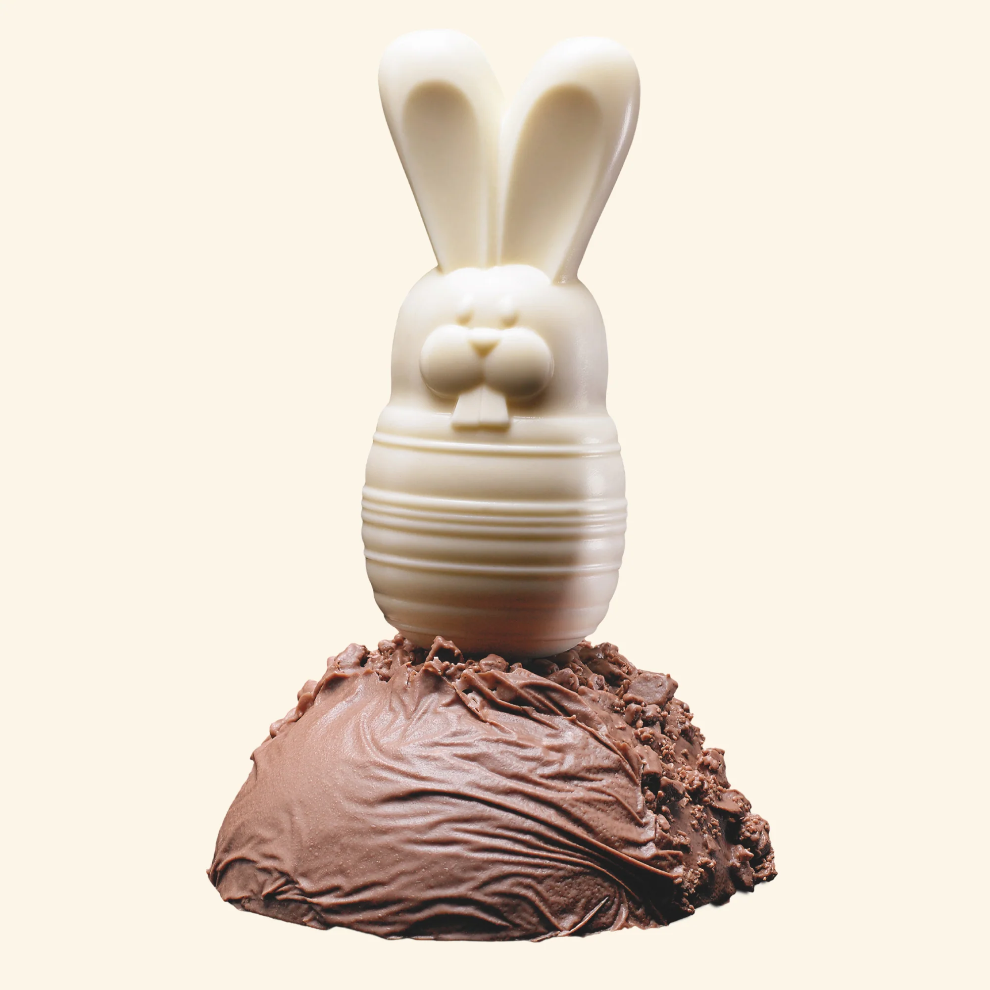 Easter Bunny Chocolate Mold - Image 4